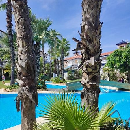 Sunny Apartment Costa Blanca La Mata  Eksteriør billede